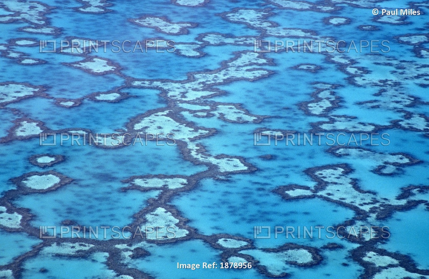 Great Barrier Reef, Aerial View
