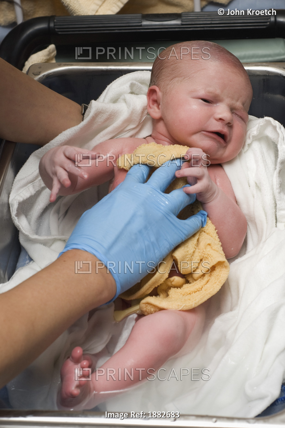 A Newborn Baby Getting It's First Bath In The Hospital; Millet, Alberta, Canada