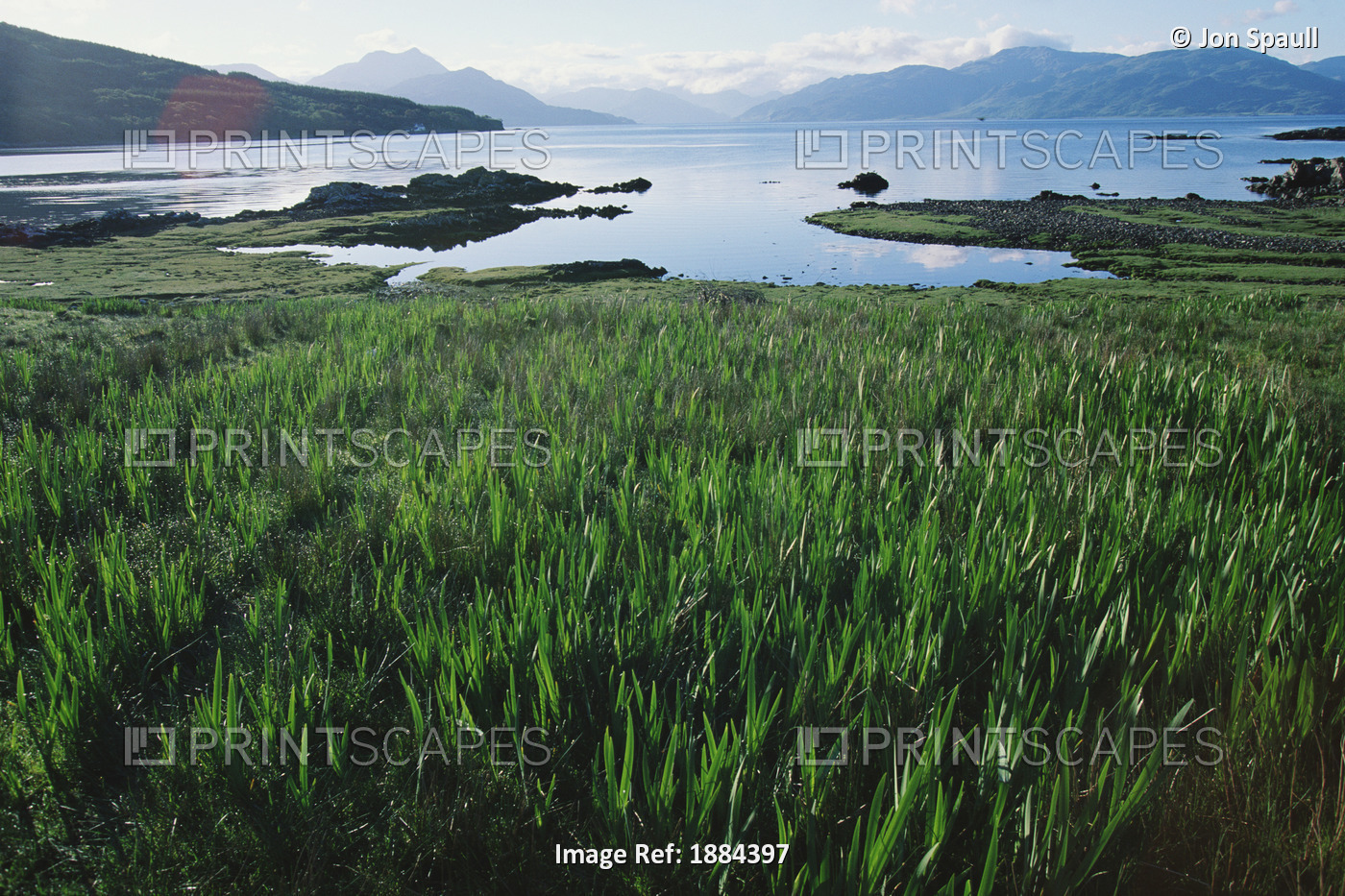 Field Of Grass And Coastline