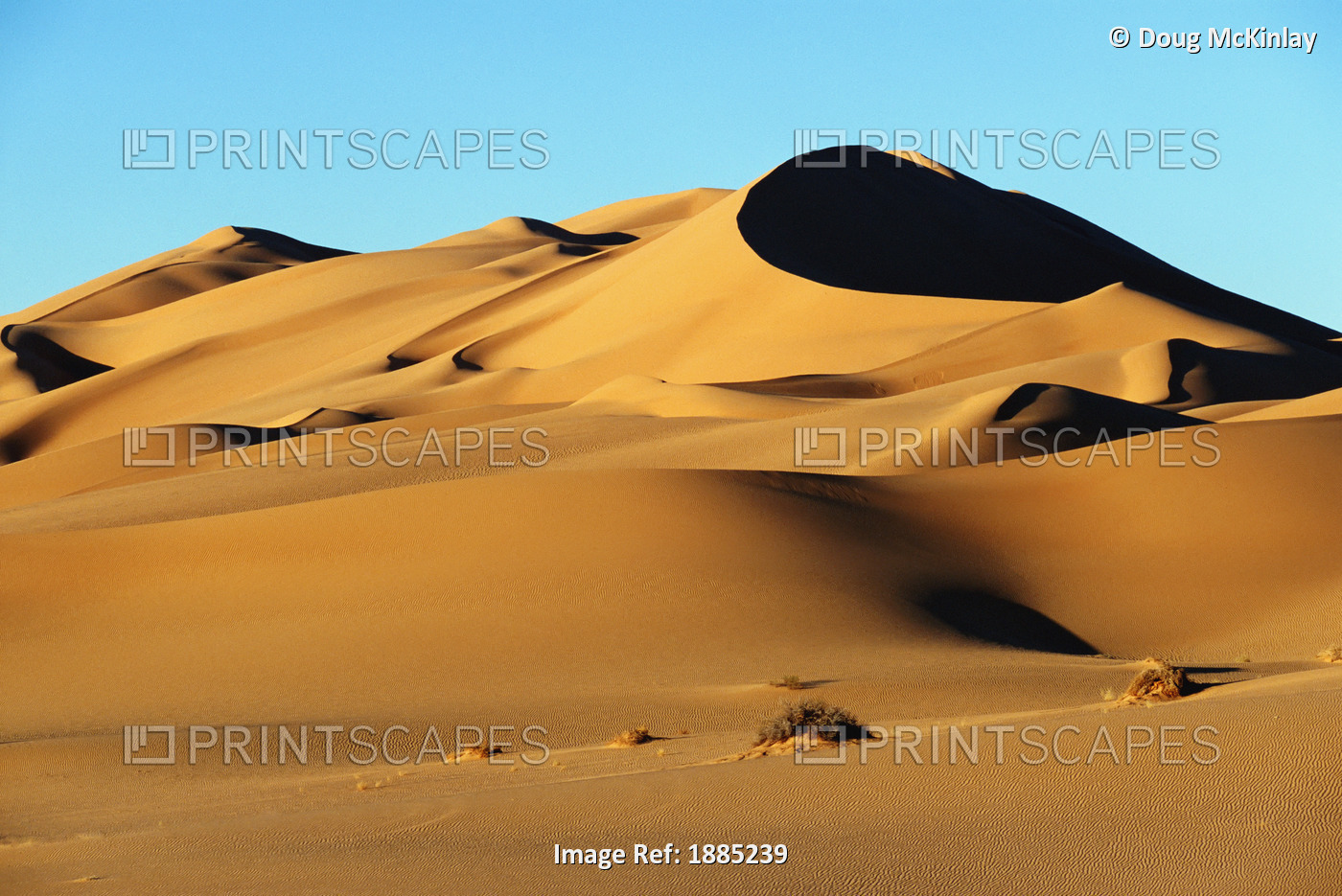 Sand Dunes In Desert