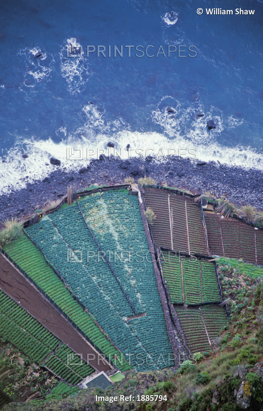 Patchwork Fields By Coastline, Aerial View