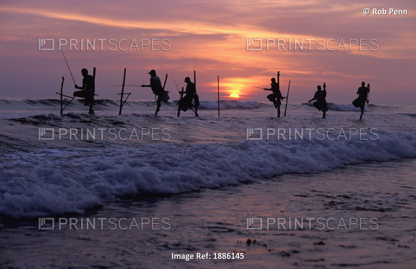 Stilt Fishermen Silhouetted At Sunset