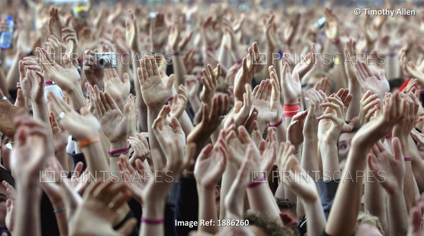Crowd Of Music Fans Waving Their Hands