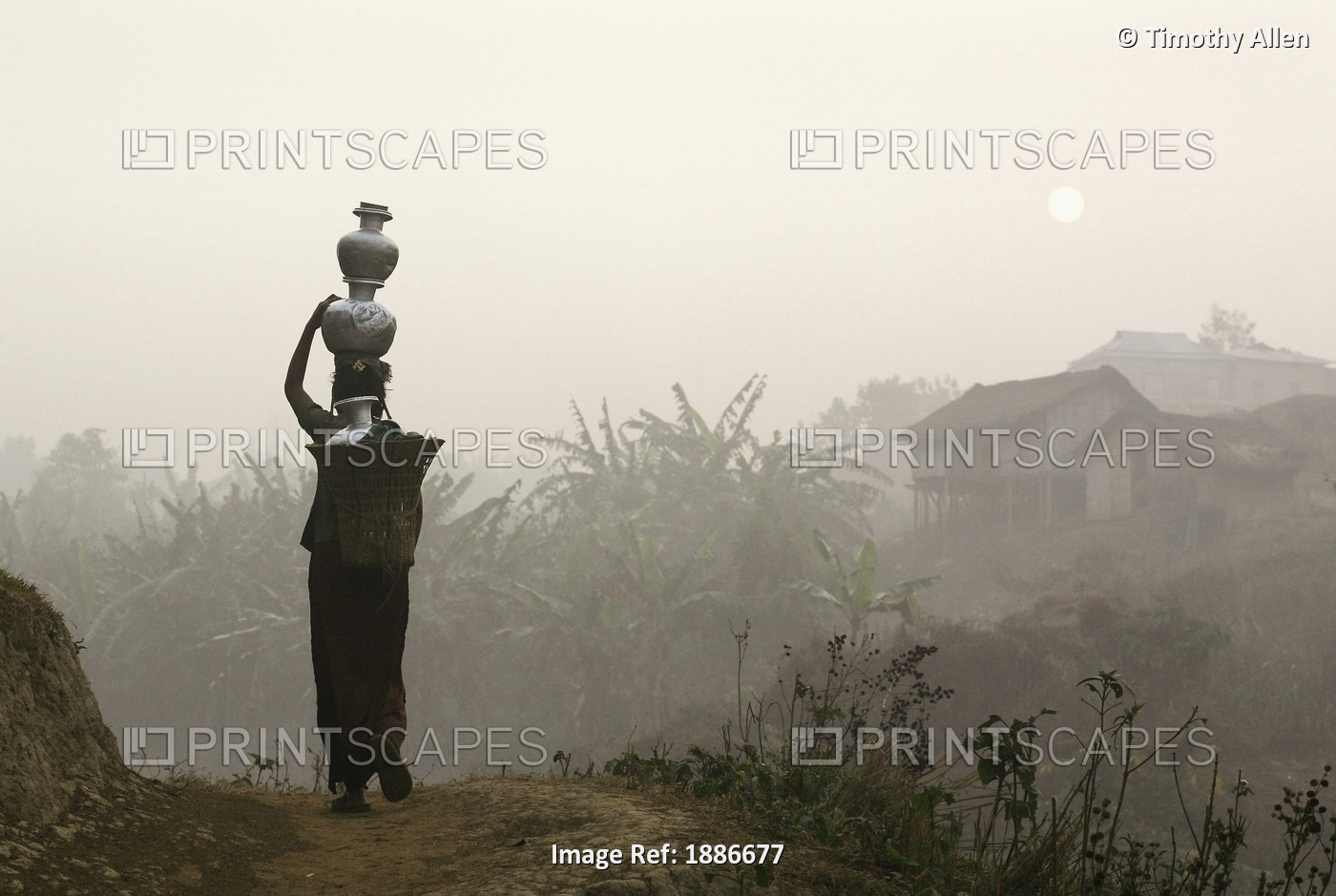 Bru Tribeswoman Carrying Water Pots On Her Head At Sunrise
