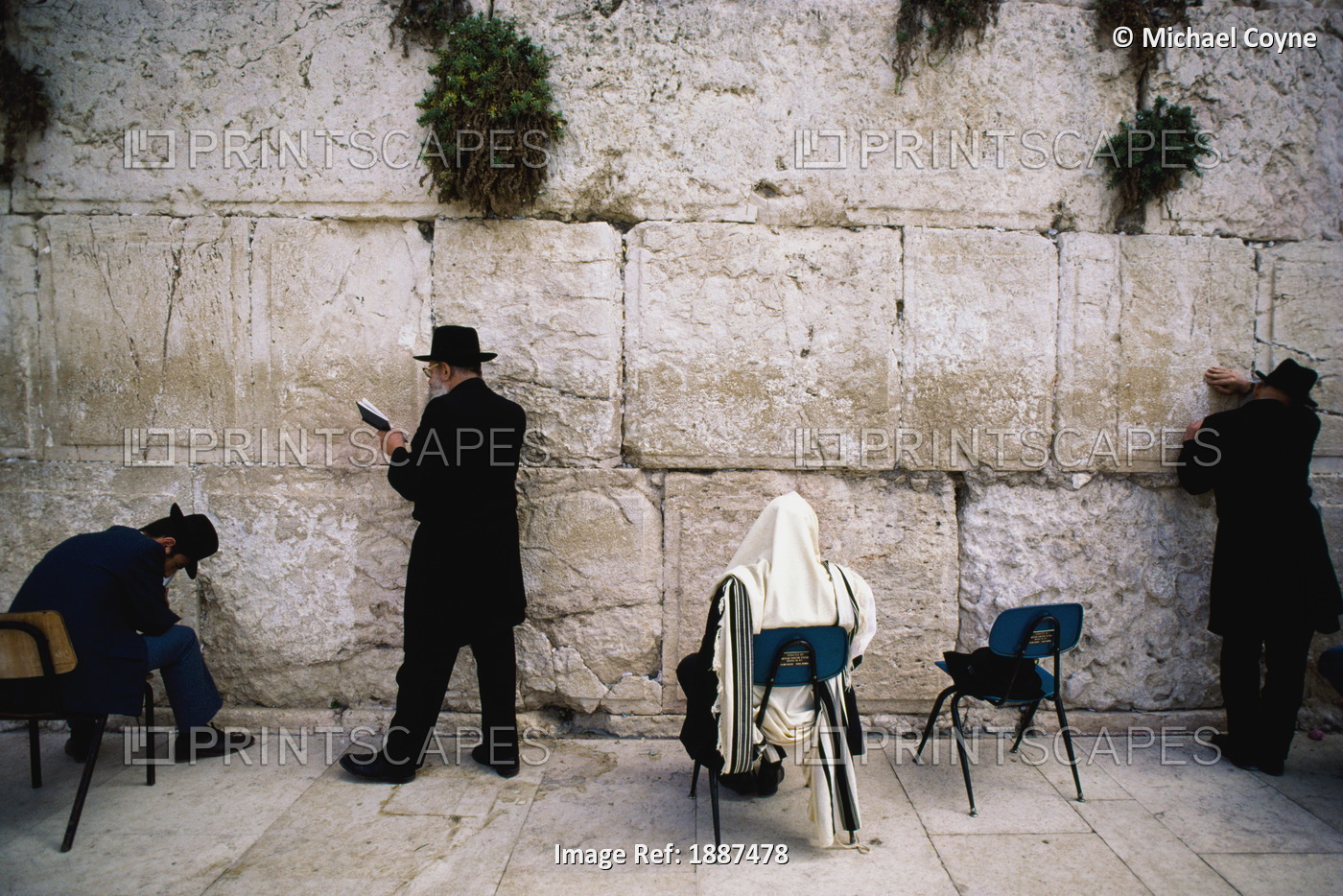 Orthodox Jews Praying Et Wailing Wall