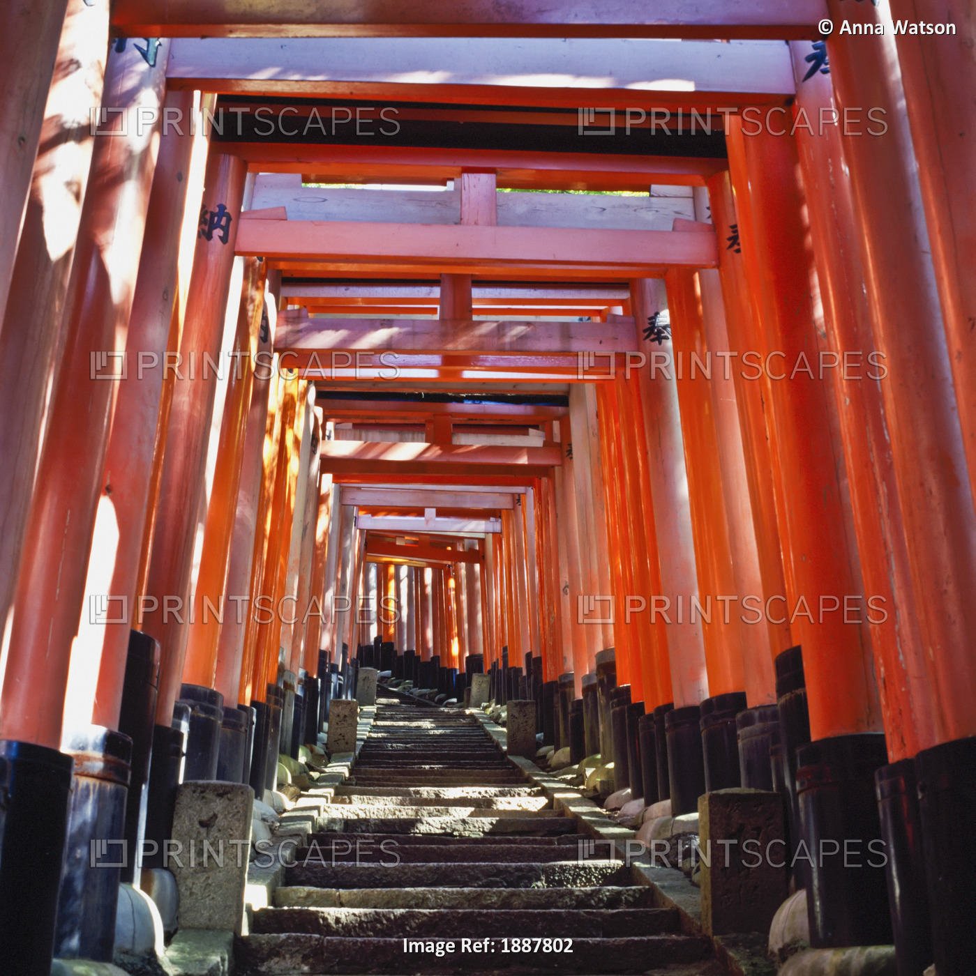 Red Torii Arches Over Steps At Inari Temple.