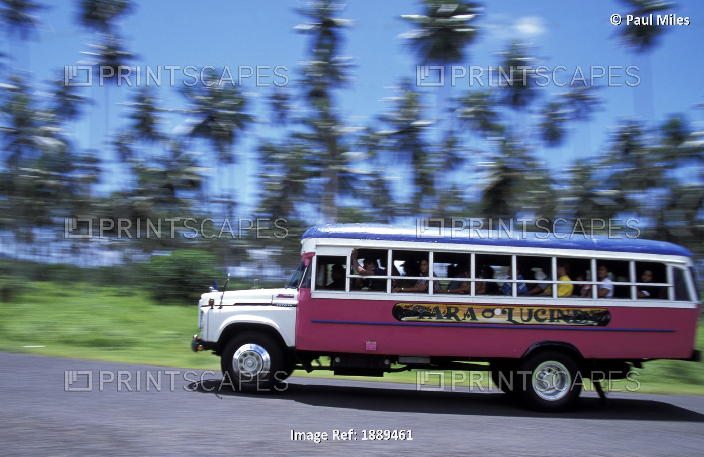 Open-Sided Bus By Palm Trees, Blurred Motion