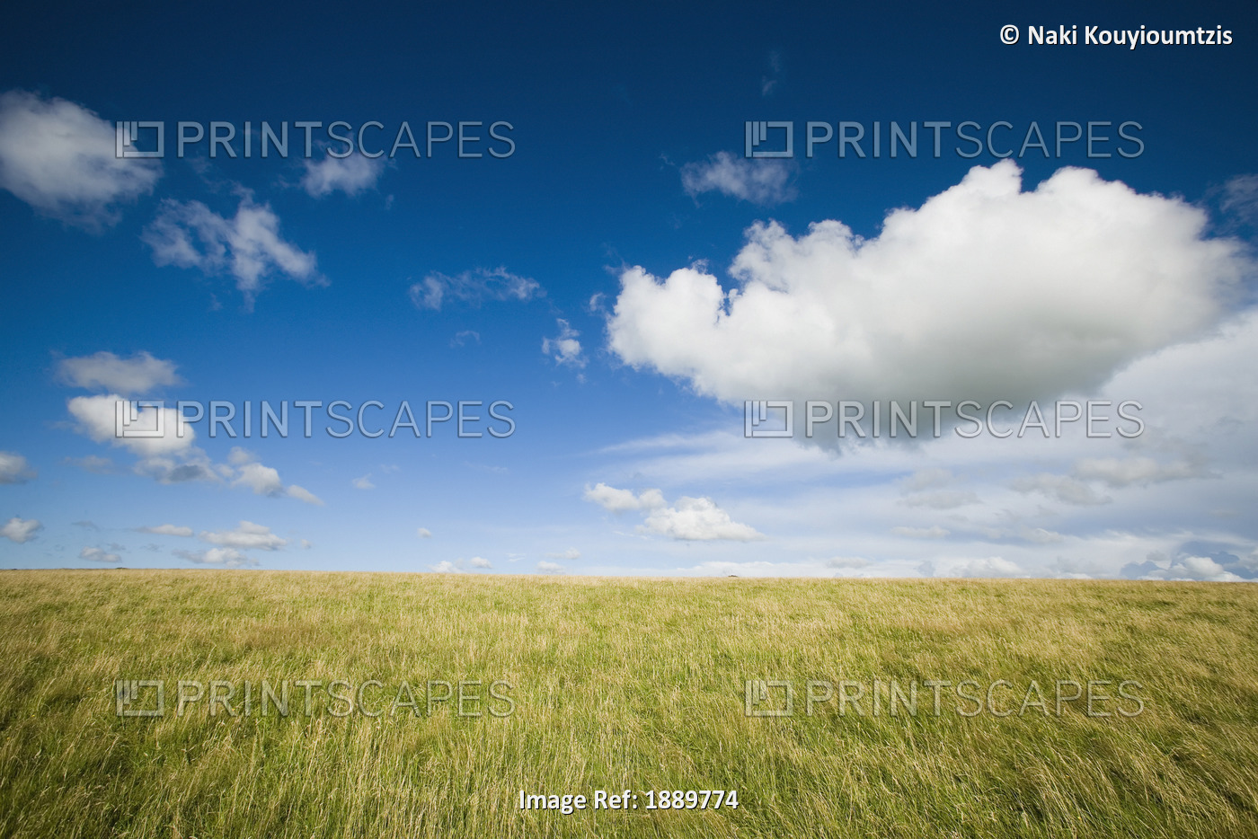 Grassy Field On Hill With Blue Skies And Clouds