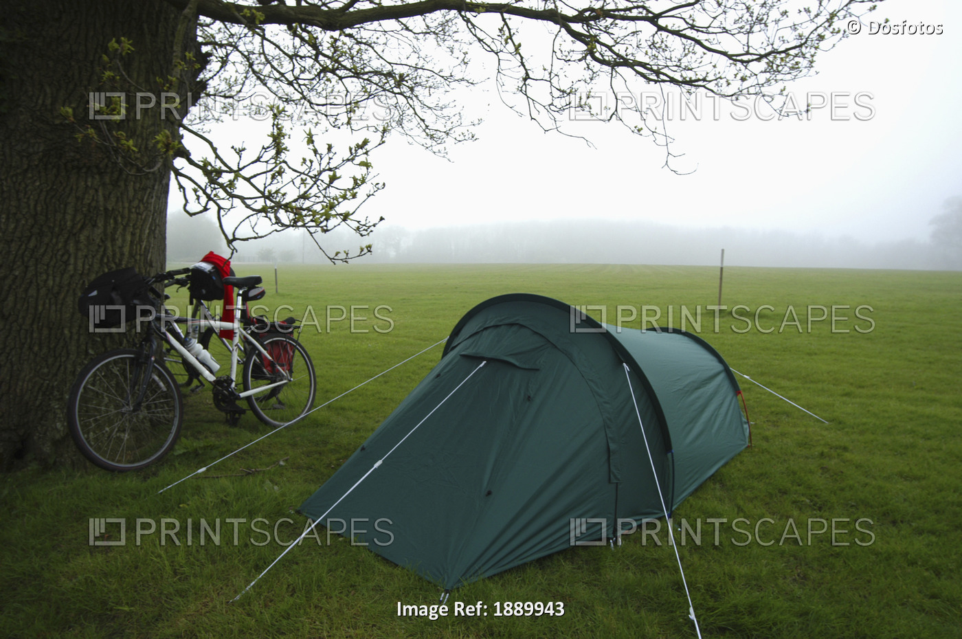 Bicycle Leaning On A Tree And Tent