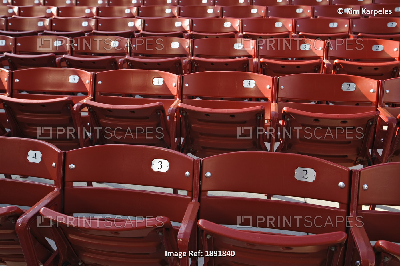 Rows Of Red Seats