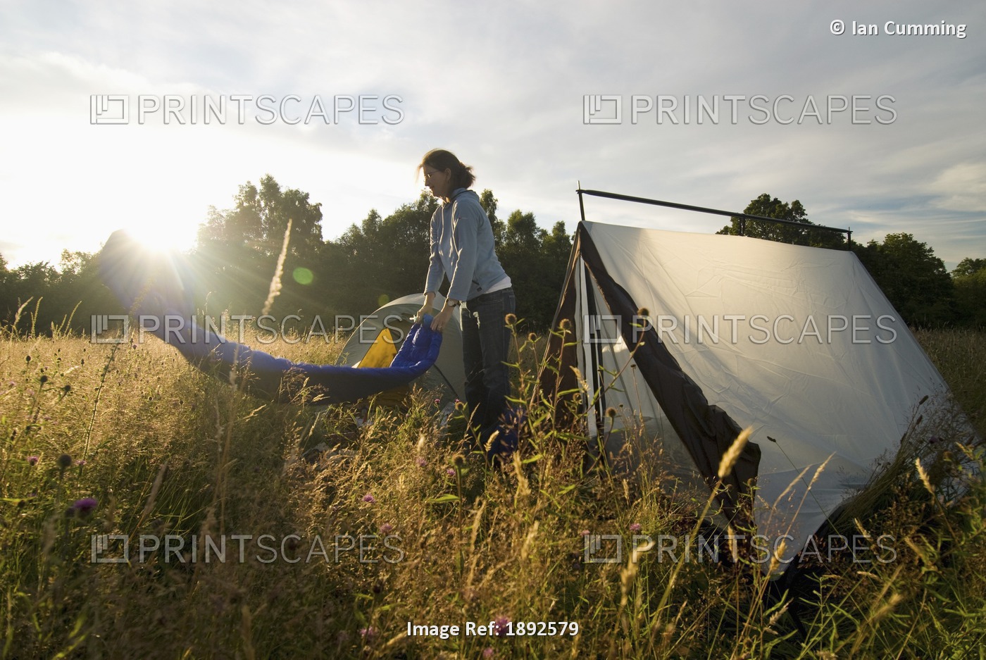 Woman Shaking Out Sleeping Bag Beside Tent In Meadow, Sunset