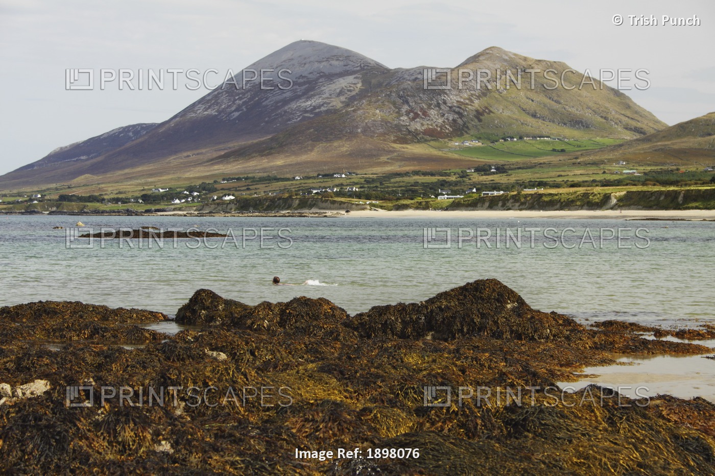 View Of Croagh Patrick Mountain From Old Head Beach In Connacht Region; County ...