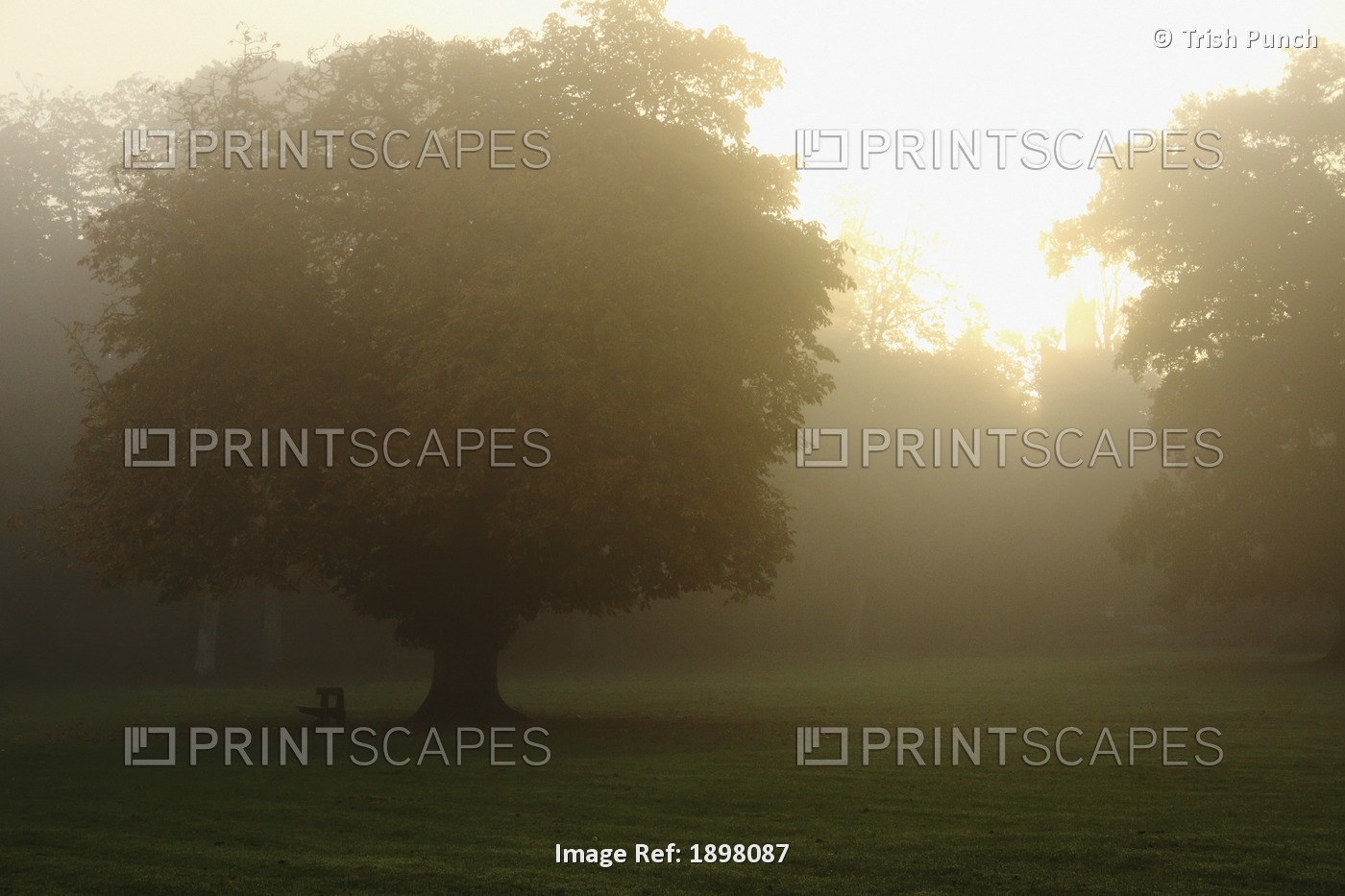 Misty Morning In Cahir In The Munster Region; County Tipperary, Ireland