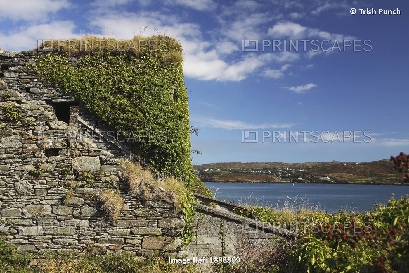 Ruins Of An O'driscoll Clan Castle On Sherkin Island Off The West Cork Coast In ...