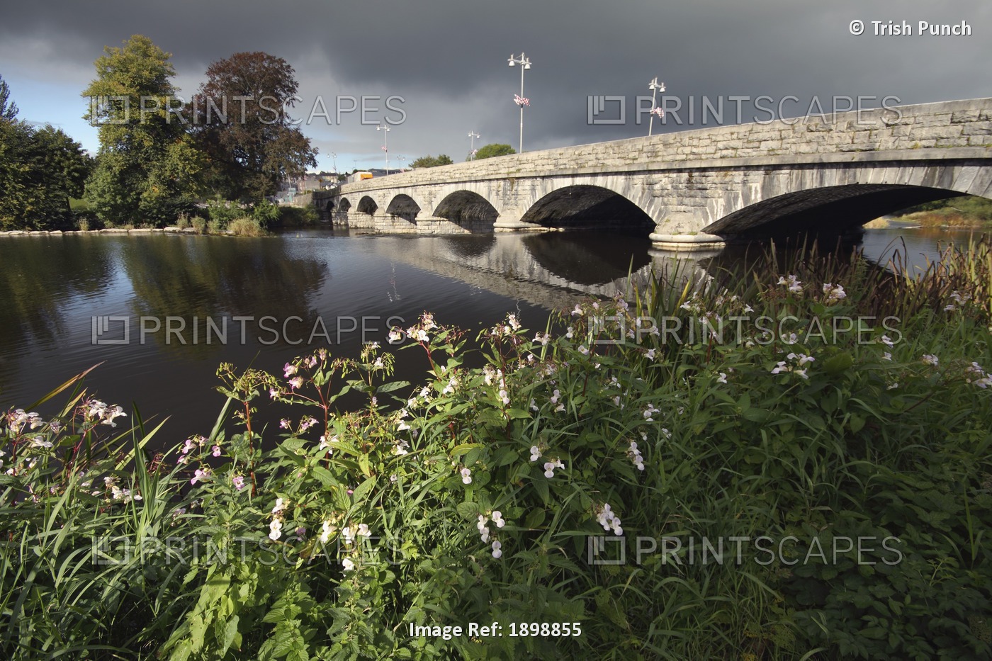 Blackwater River In Munster Region; Fermoy, County Cork, Ireland