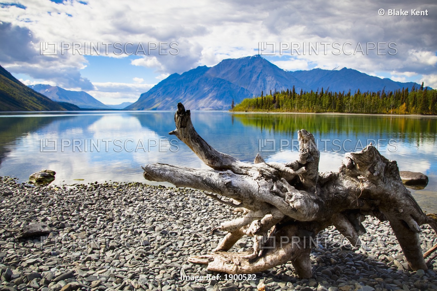 Lake Kathleen In Kluane National Park And Reserve In The Yukon Wilderness; ...