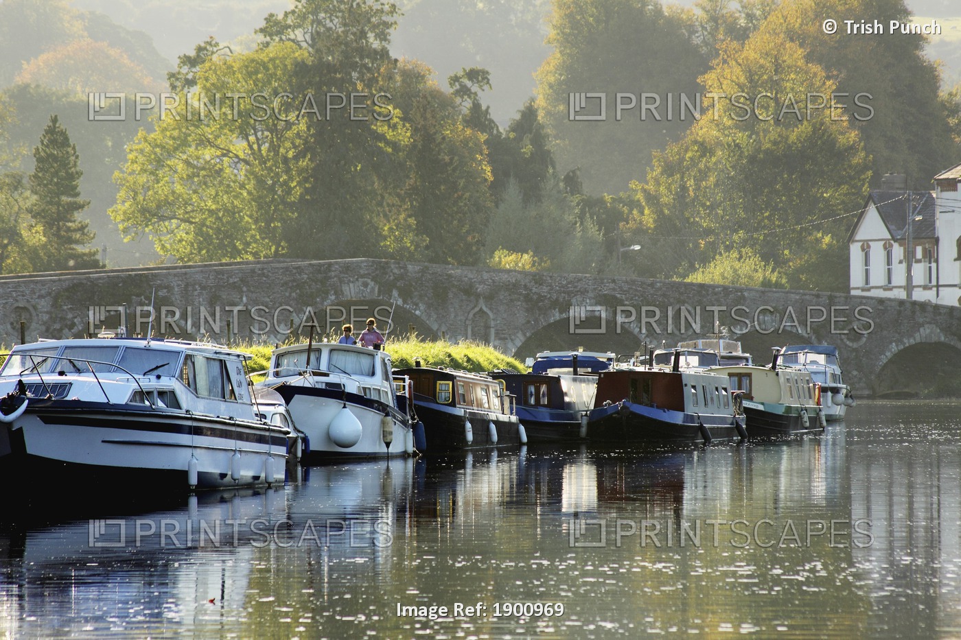Moored Boats On The River Barrow In Leinster Region; Graiguenamanagh, County ...