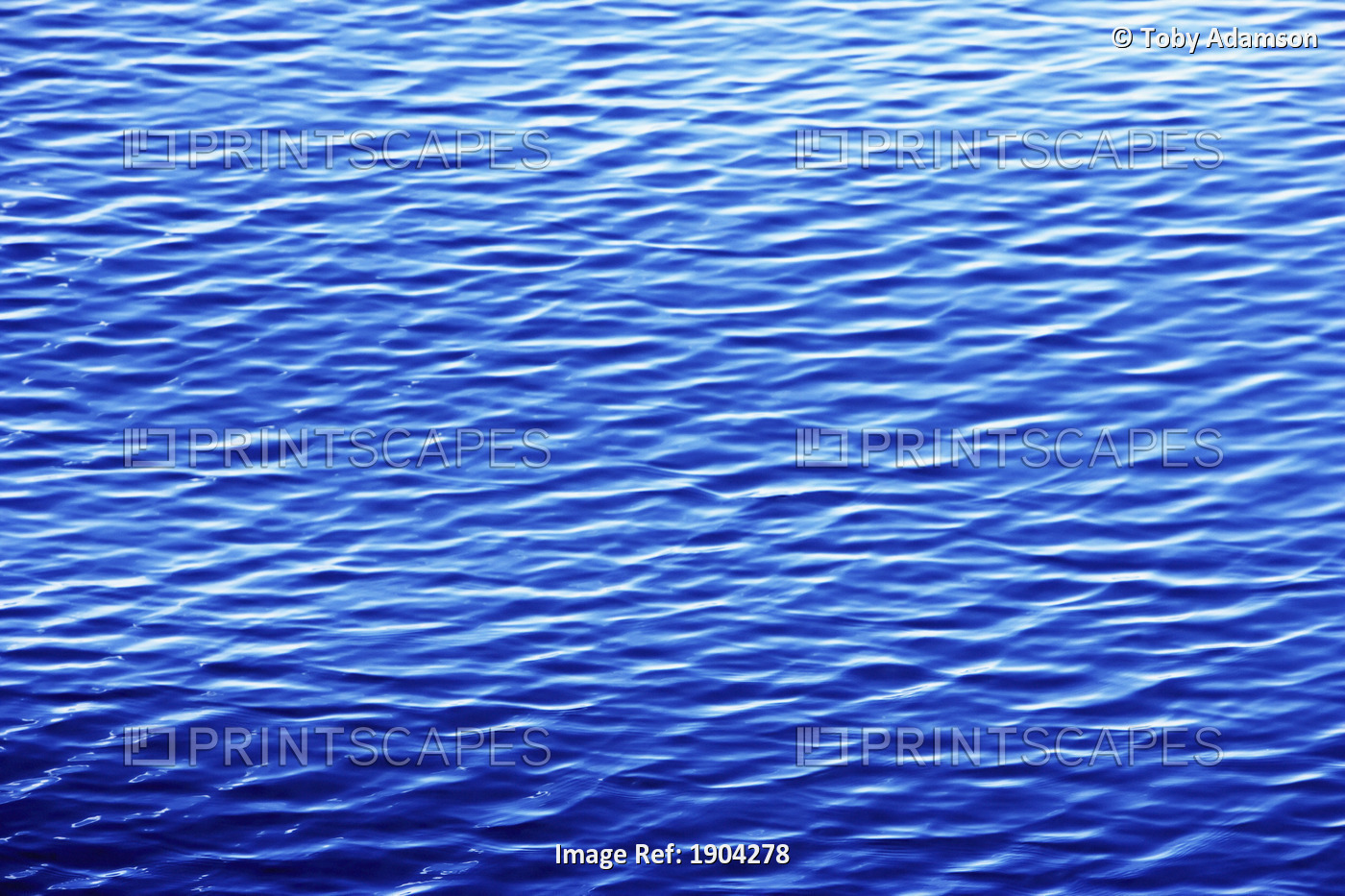 Water Surface