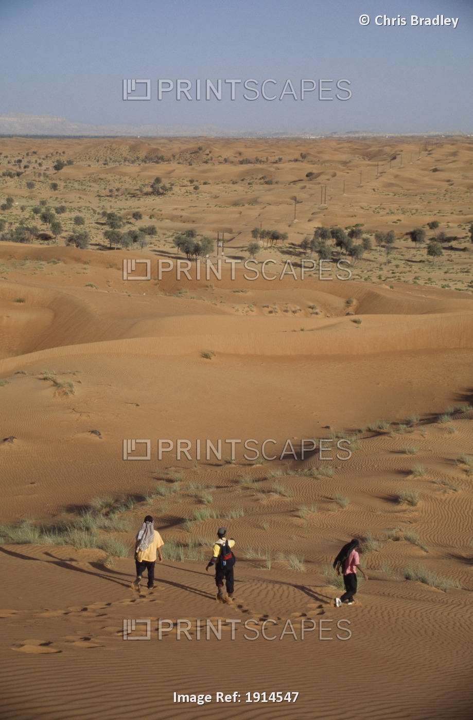 Tourists Trekking Through The Desert