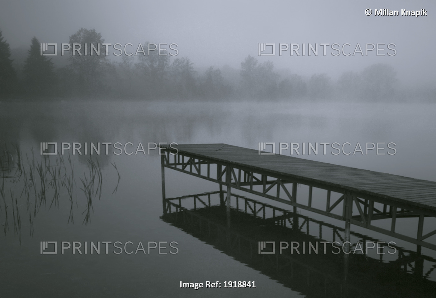 Dock With Fog Over Lake; Rekowo, Koszalin County, Poland