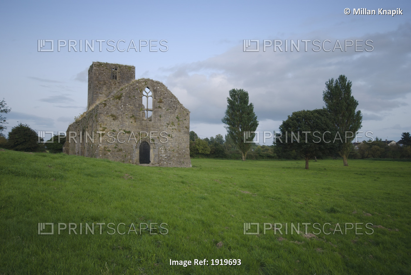 Ruins Of Callan Augustinian Friary; Callan, County Kilkenny, Ireland
