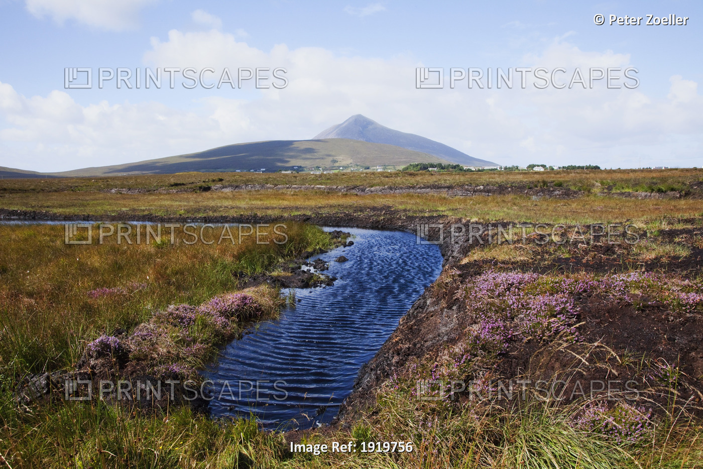 Water Source In Irish Bog; Achill Island, County Mayo, Ireland