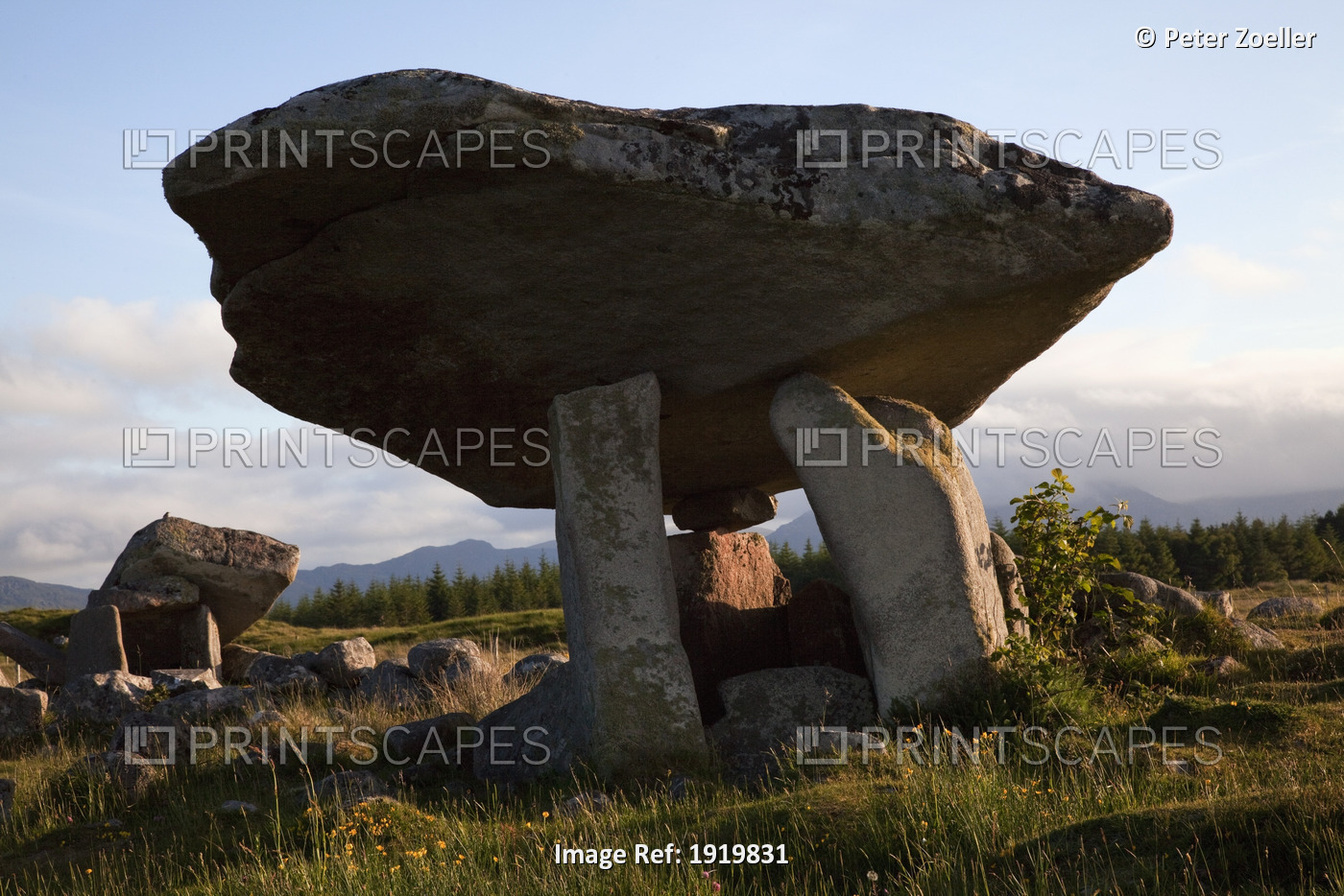 Ancient Dolmen Megalithic Tomb; Ardara, County Donegal, Ireland