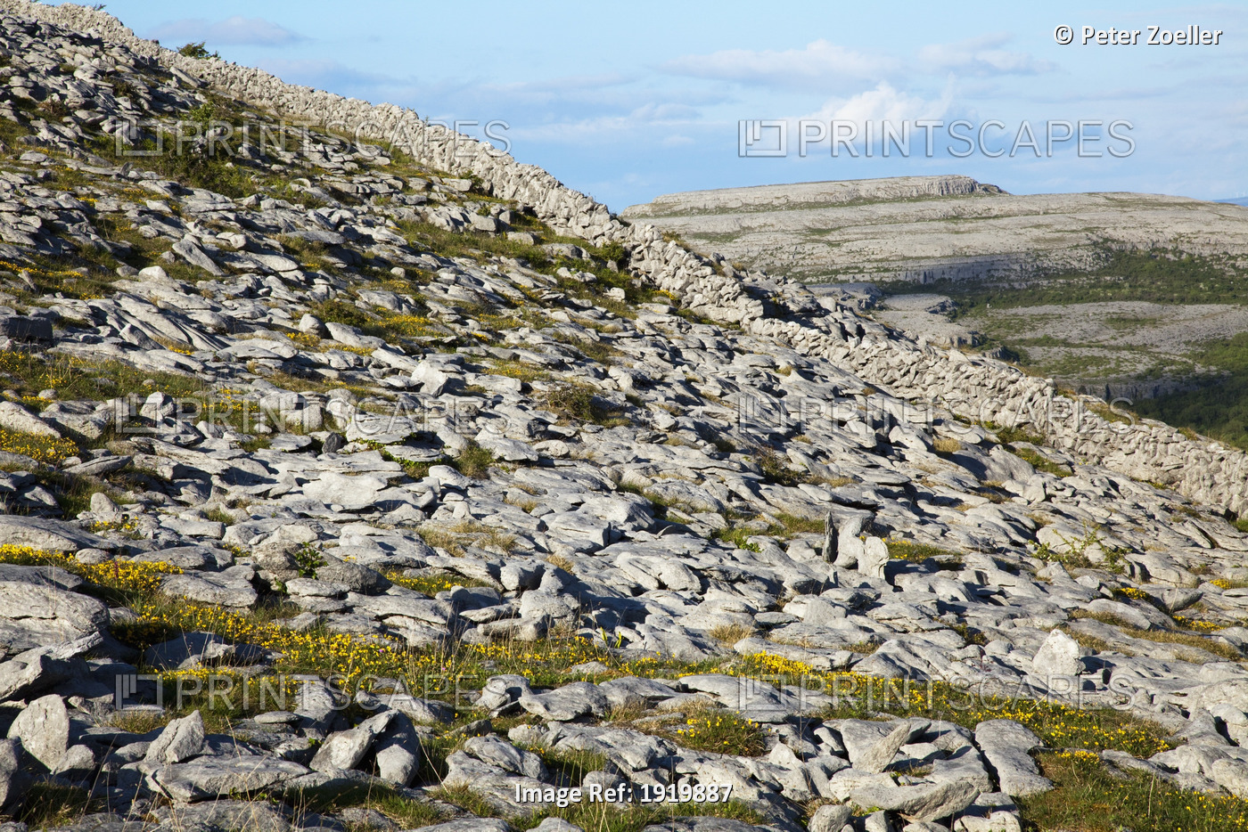 Rocky Karst-Landscape; The Burren, County Clare, Ireland