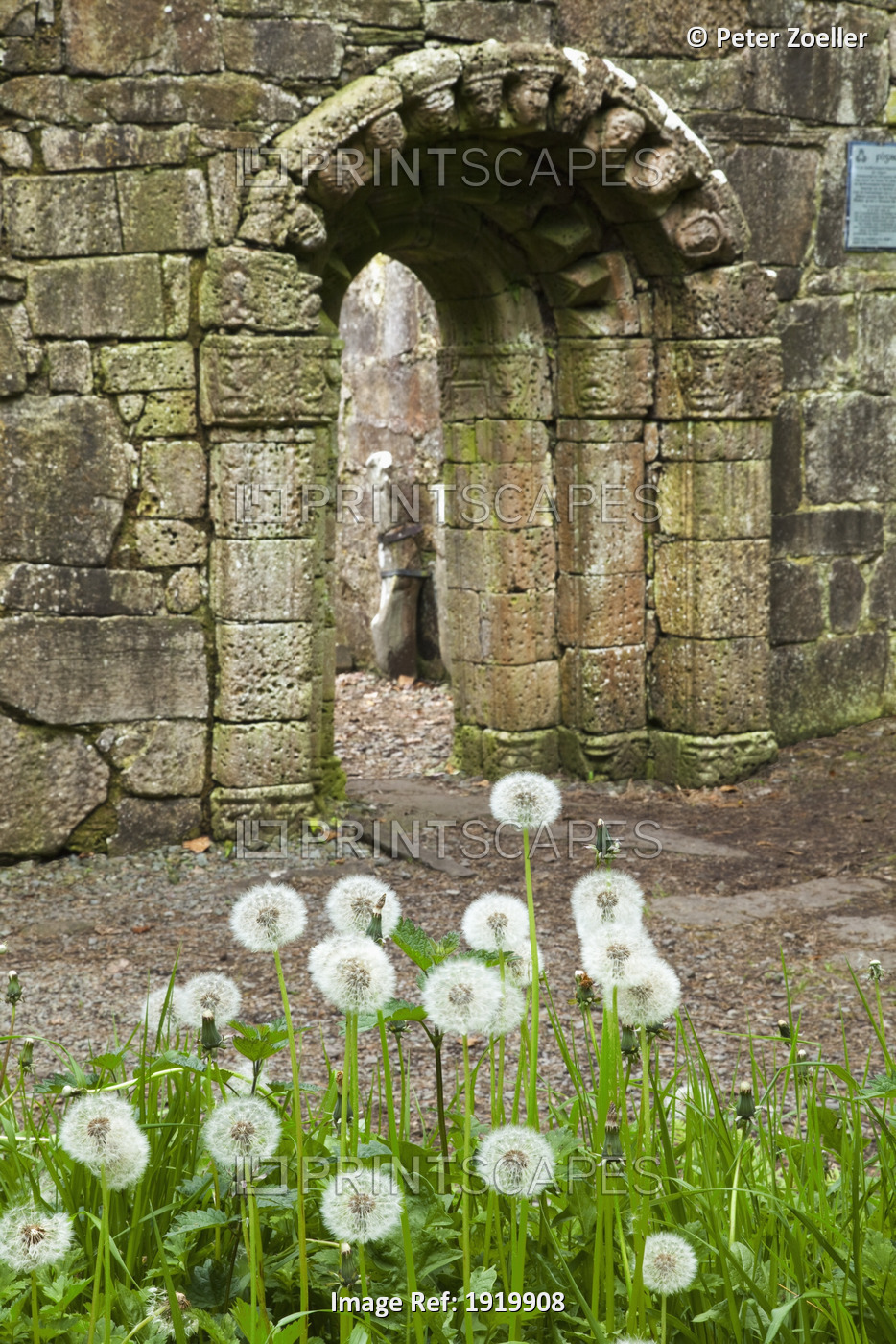 St. Patrick's Church Ruins; Inchagoill Island, County Mayo, Ireland