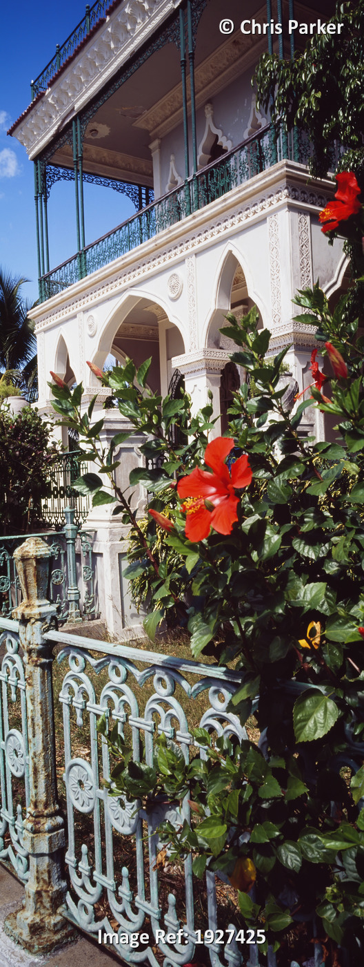 Flowers Under Villa Balcony