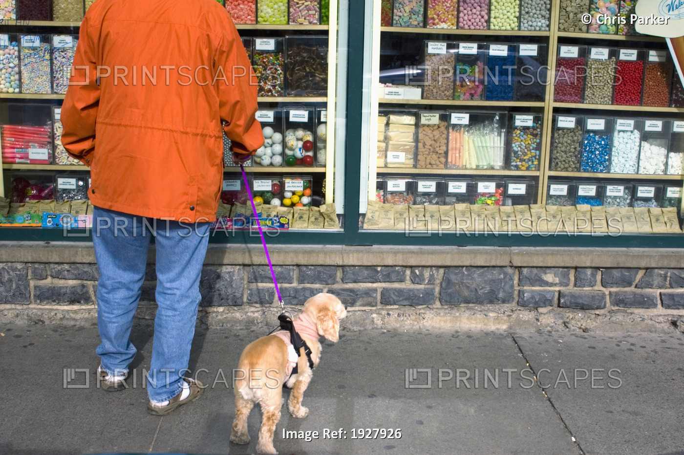 Woman With Dog On Leash Looking In Window Of Candy Shop, Low Sectio, Banff ...