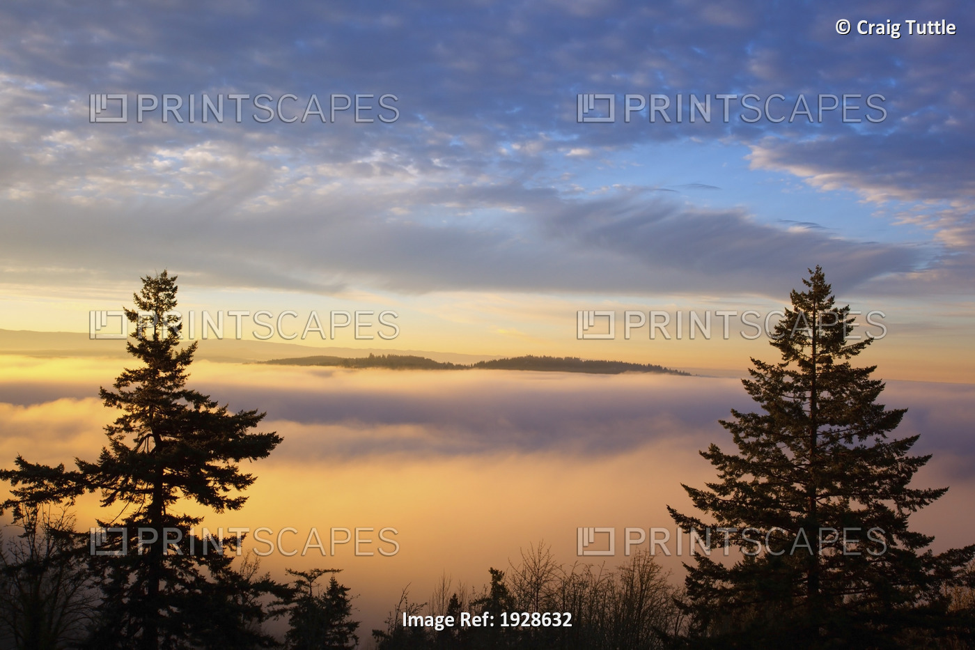 Sunrise Through Morning Fog; Willamette Valley, Oregon, United States Of America
