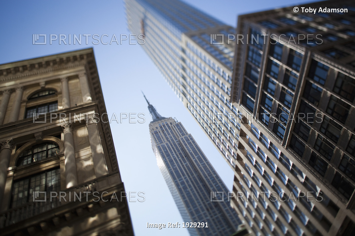Tilt shift lens image - looking up at Sykscrapers in Manhattan, New York. USA.