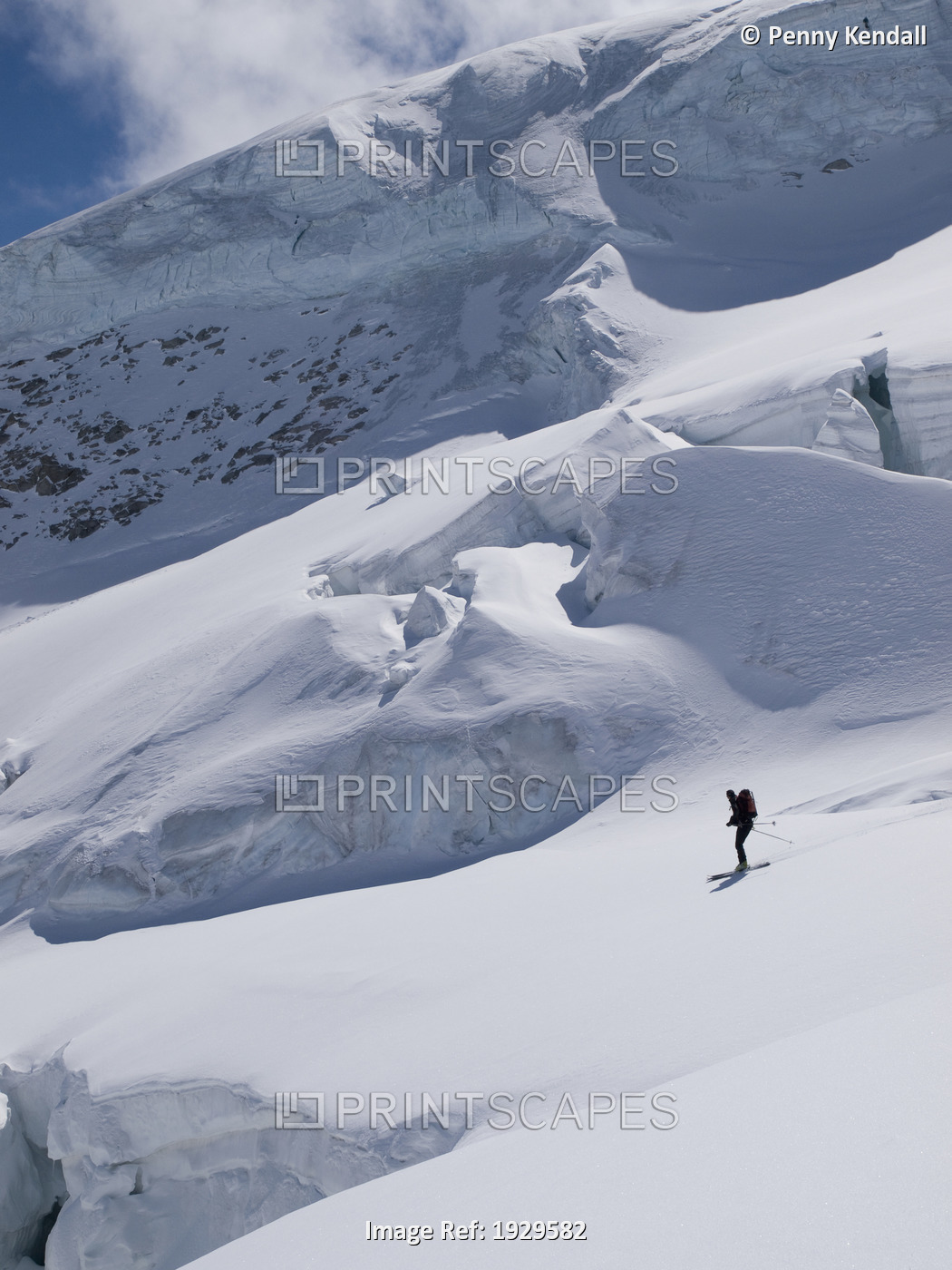 Skiing Between The Crevasses And Seracs On The Aletsch Glacier. Bernese ...