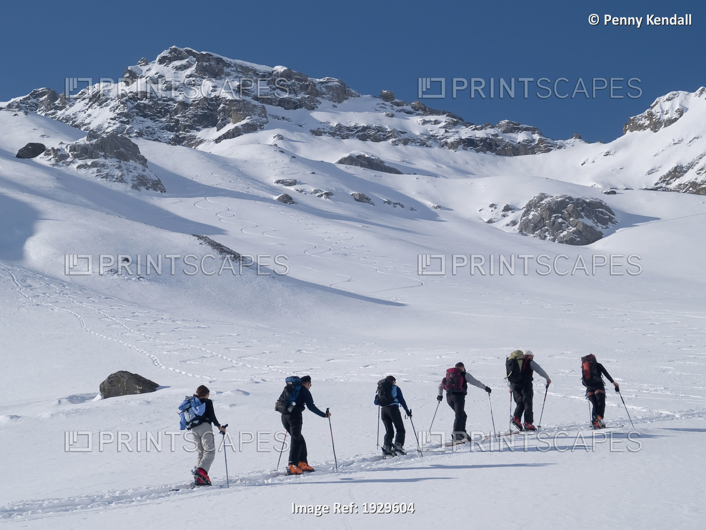 Group of ski tourers climbing up Wildstubel mountain, Bernese Oberland. ...