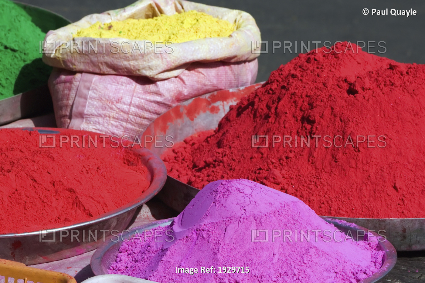 During coloured dye throwing Holi festival, Jaipur, capital of Rajasthan, ...