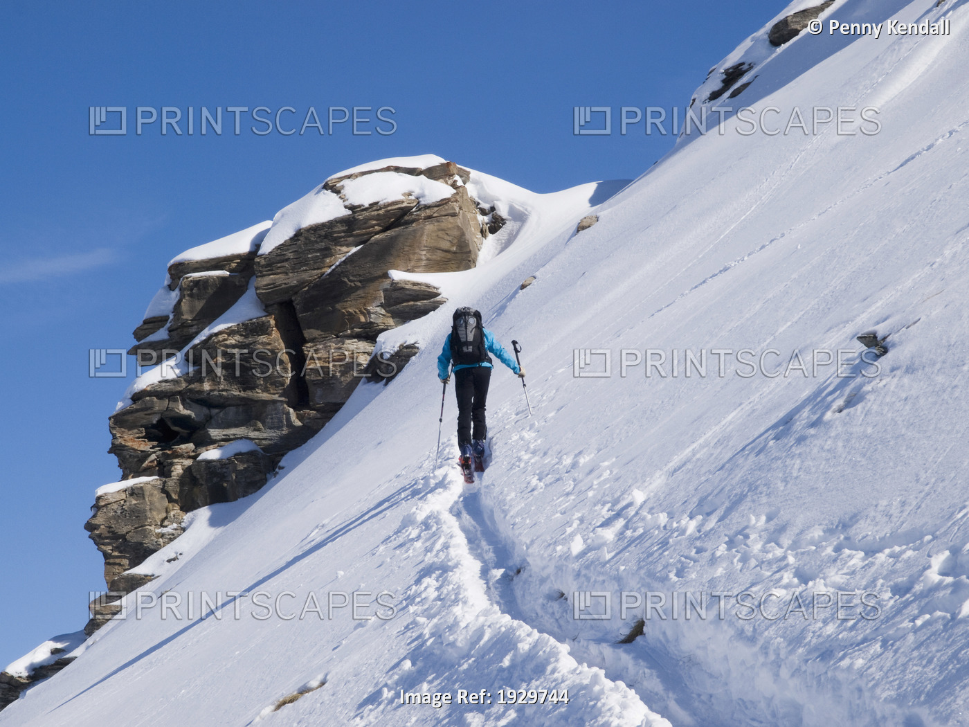 Skier Skins Up A Track On A Ski Tour. Ski Safari From Tignes. Bonneval-Sur-Arc, ...