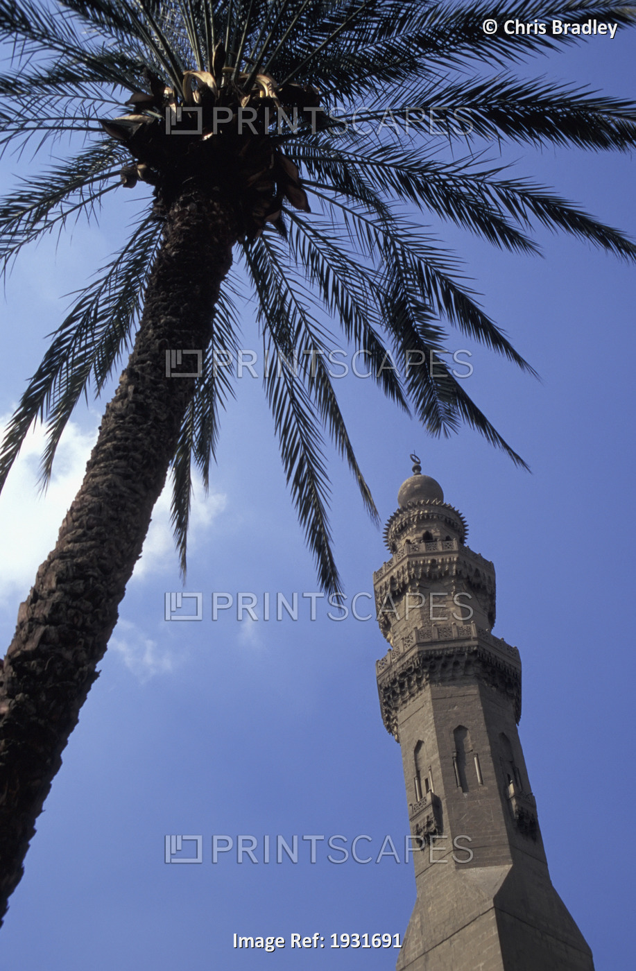 Low Angle View Of Minaret Of Sultan Hassan Mosque And A Palm Tree With Bright ...