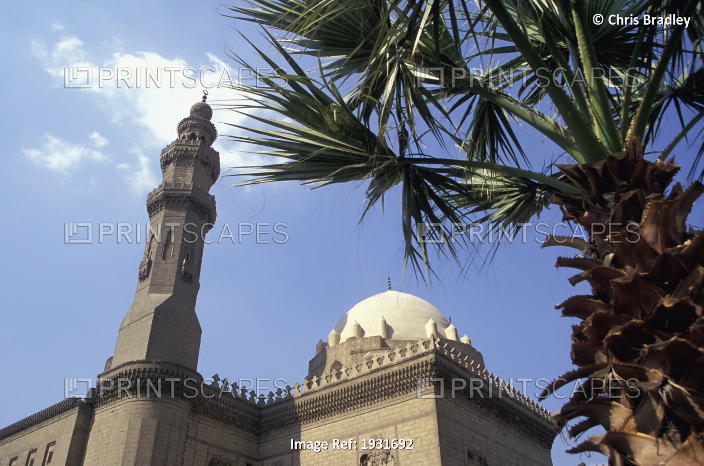 Low Angle View Of Minaret And Dome Of Sultan Hassan Mosque With Palm Tree, ...
