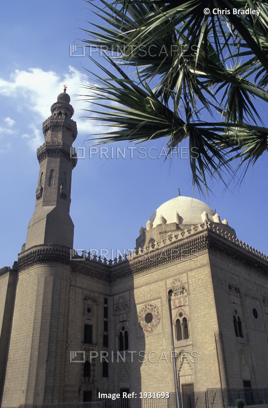 Low Angle View Of Minaret And Dome Of Sultan Hassan Mosque With Palm Tree, ...