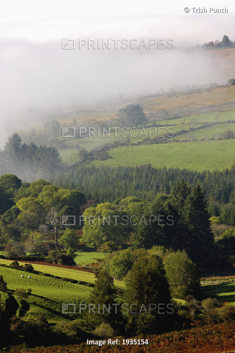 Fog Rolling Into Nire Valley; Clonmel, County Tipperary, Ireland