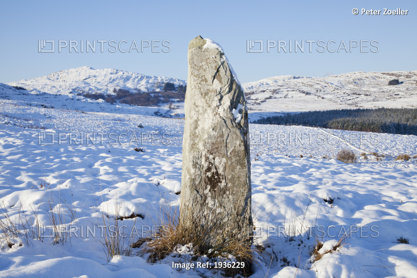 Standing Stone In Winter; Blackwater County Kerry Ireland