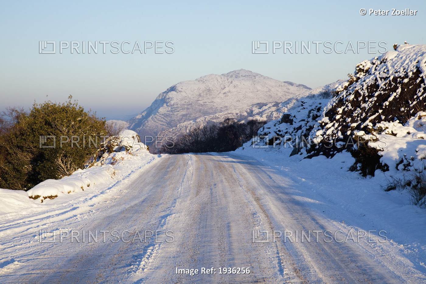 A Road Near Killarney In Winter; County Kerry Ireland