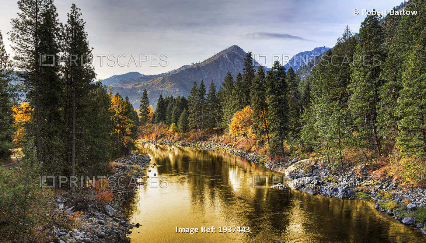 Composite Entitled 'River Of Gold' Taken From A Bridge Over The Icicle River; ...