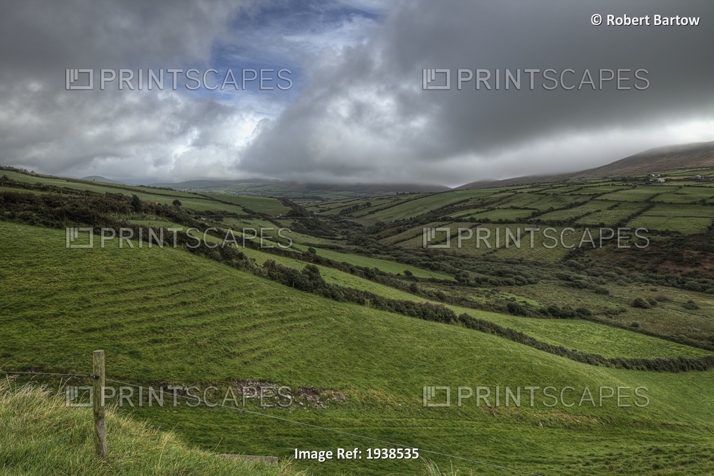 Green Rural Landscape Of Dingle Peninsula; County Kerry Ireland
