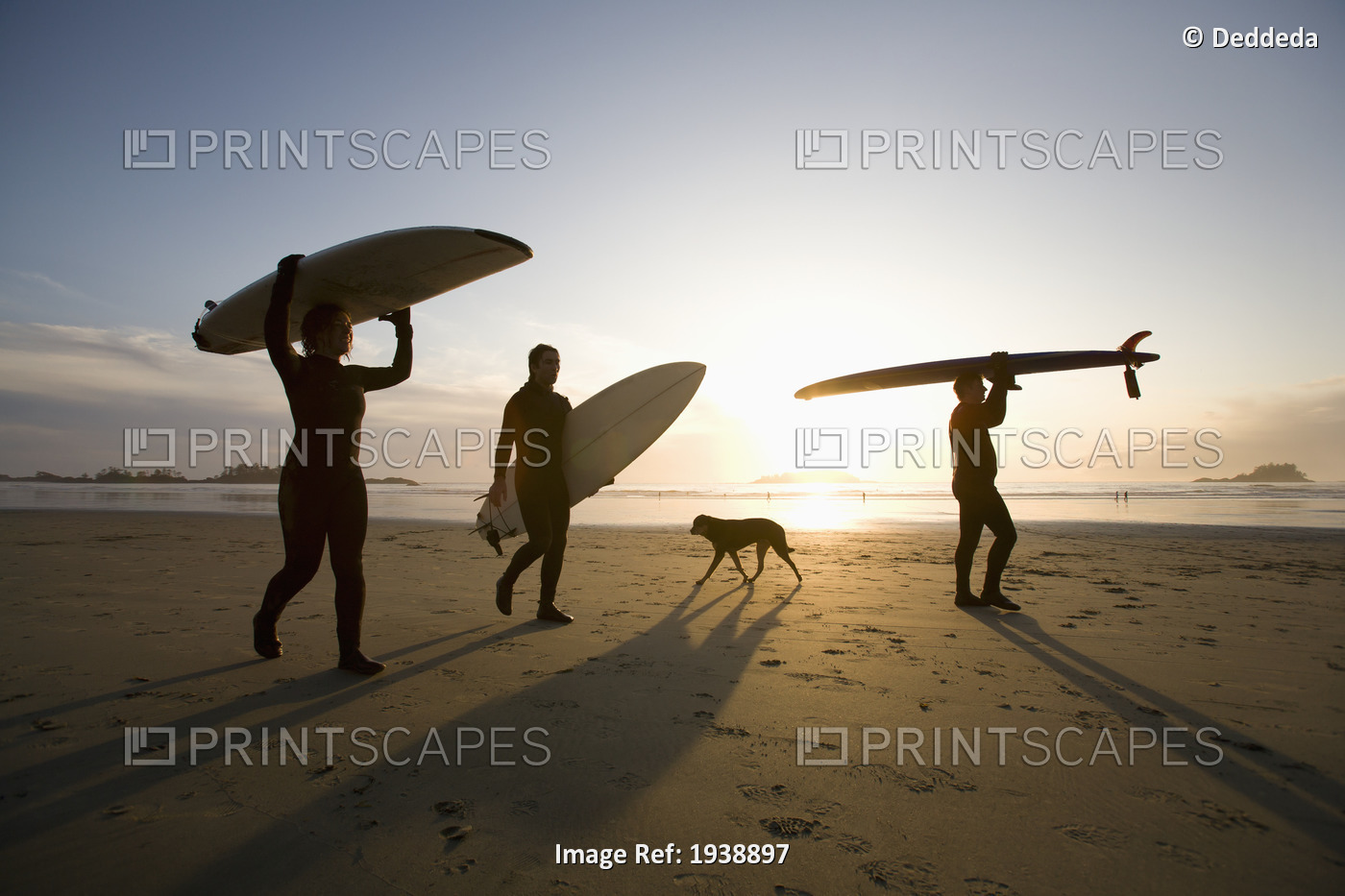 Silhouette Of Three Surfers And A Dog; Chesterman Beach Tofino Vancouver Island ...