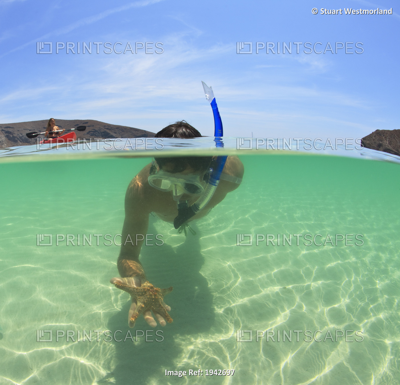 A Young Man Snorkels Holding A Starfish Underwater And Another Person Paddling ...