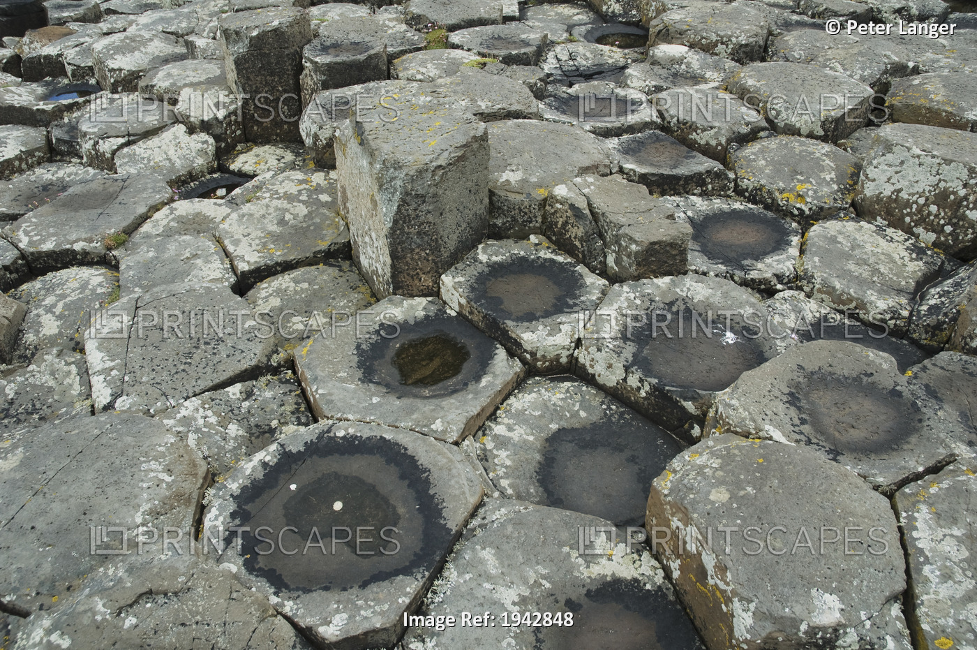 Black Basalt Columns Sticking Out Of The Sea, Giant's Causeway, Northern ...