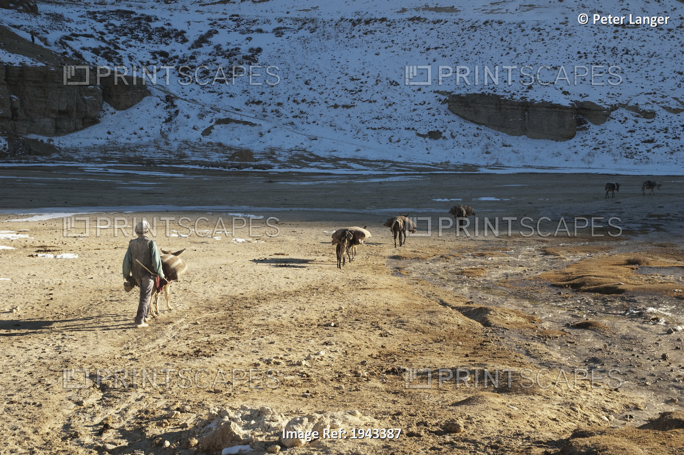 Afghan Farmers And Their Donkeys Leaving A Gristmill By Band-I-Haibat (Dam Of ...