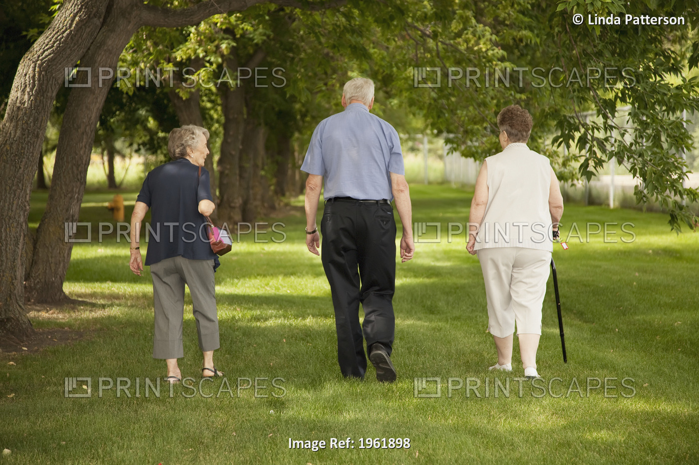 Three seniors walking together in a park; Edmonton, alberta, canada